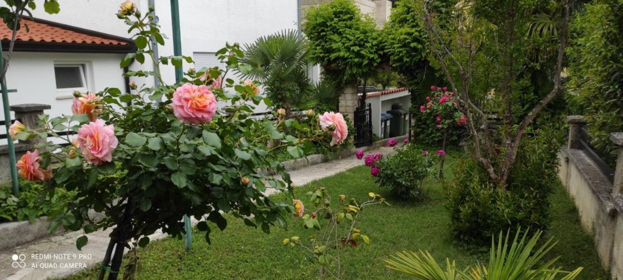 Apartment Jozefina Poreč Dış mekan fotoğraf