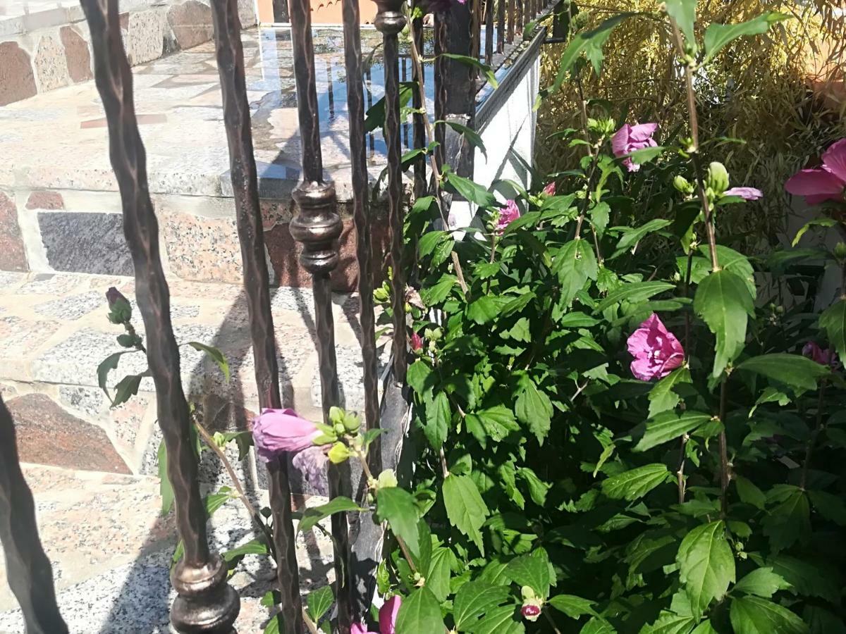 Apartment Jozefina Poreč Dış mekan fotoğraf
