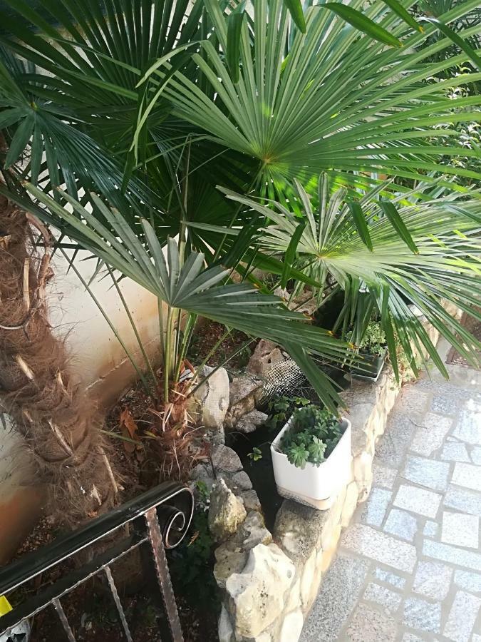 Apartment Jozefina Poreč Dış mekan fotoğraf